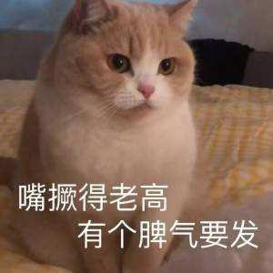 比亚迪秦PLUS EV 预约充电的问题解决了么？4月底提车已经半年了，预约充电一直都只能单次预约，客服回复说这个确实是预
