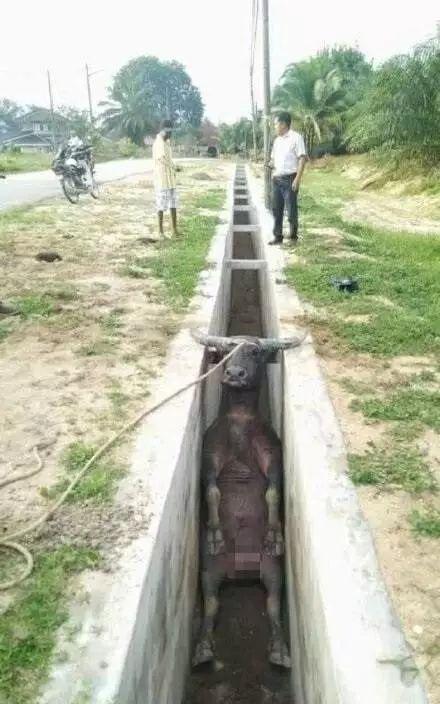 领克03 哥哥们，贷款免息的话落地价比全款是不是要低一点？