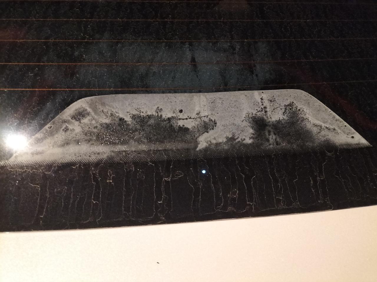 长安逸动 后玻璃这个怎么那么多水雾