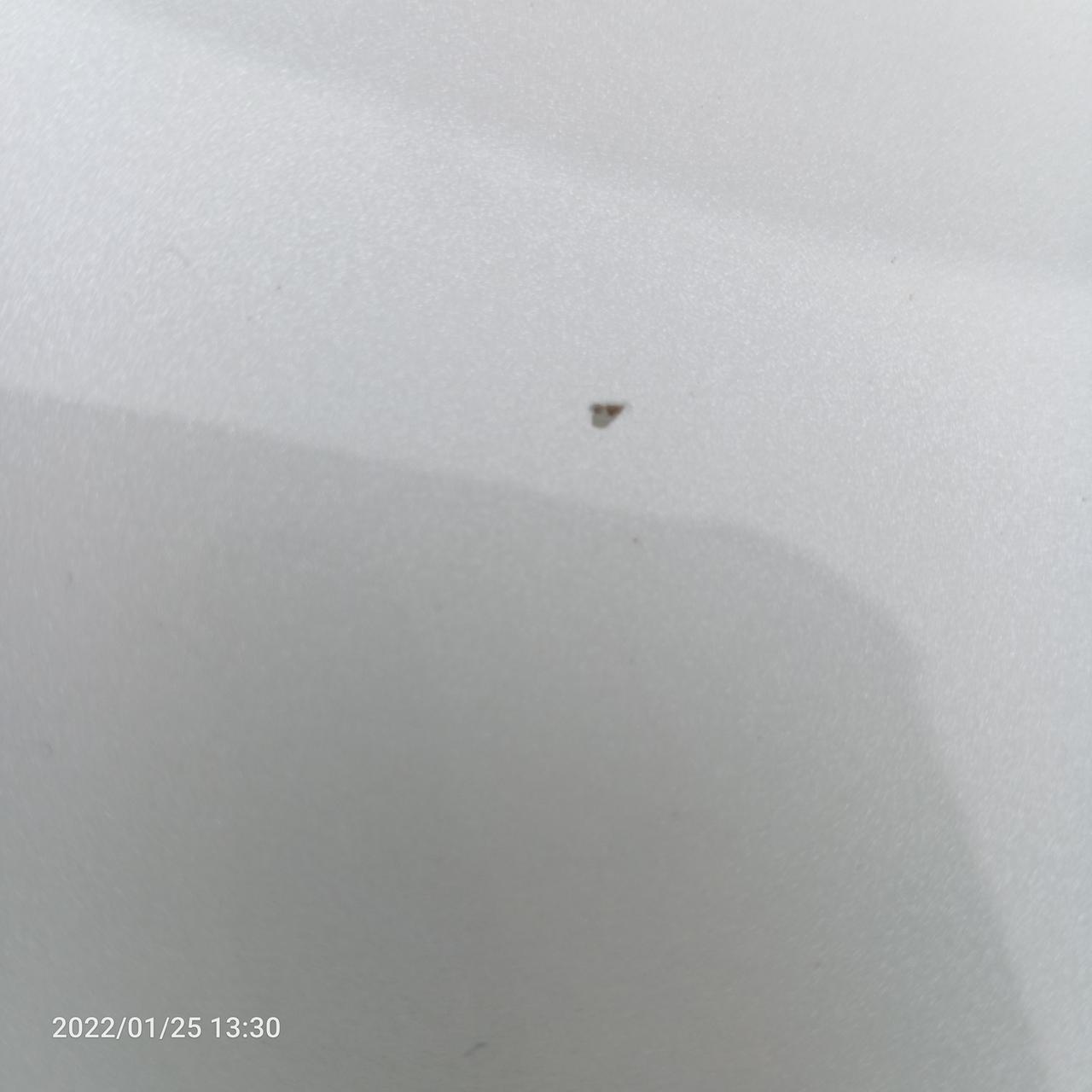 长安CS75 PLUS 这才2.3个月，这引擎盖漆就这样了