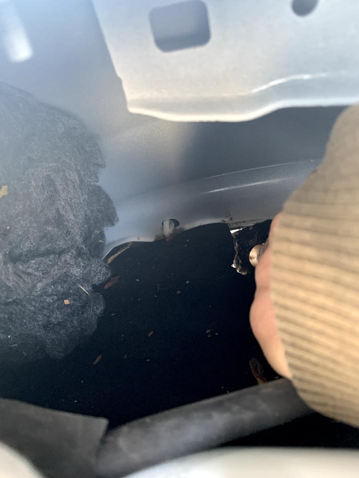 冒险家驾驶侧的隔音海绵 就是一个卷塞到里面  变成絮状物了 进小动物了吧