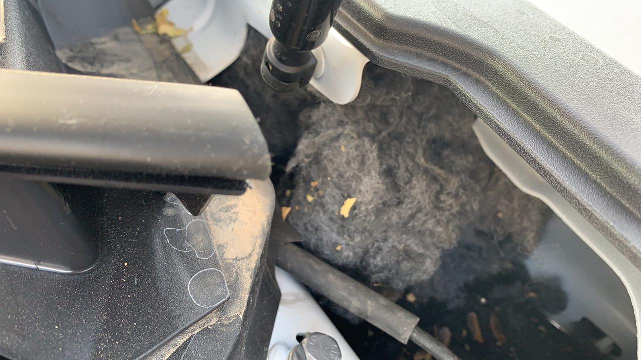 冒险家驾驶侧的隔音海绵 就是一个卷塞到里面  变成絮状物了 进小动物了吧