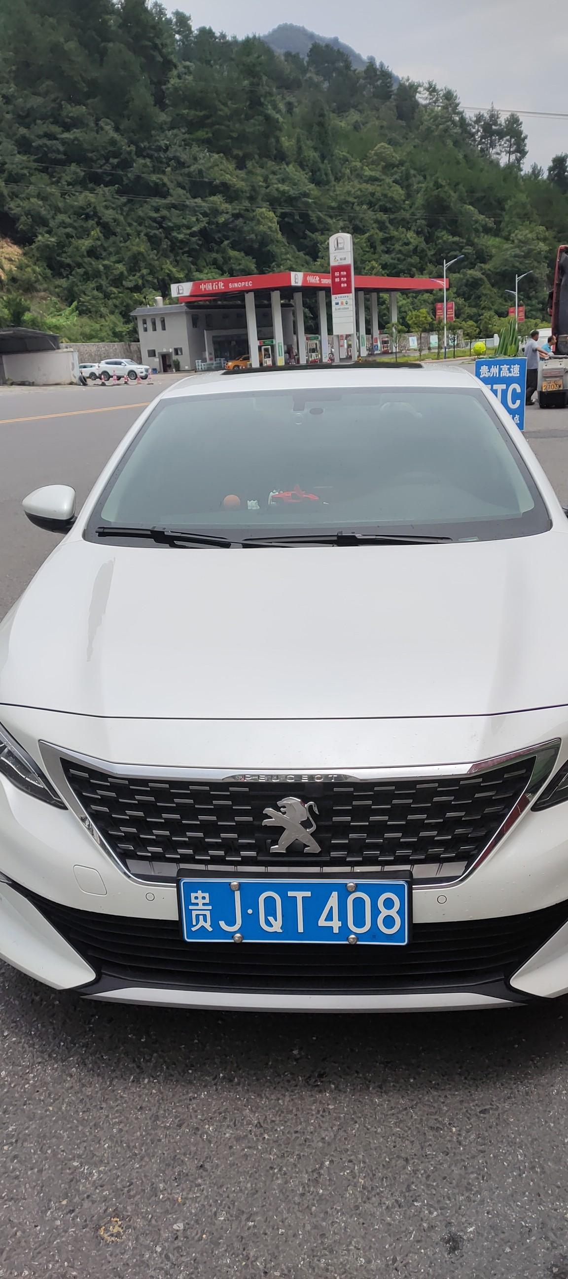 标致408 车子停了半个月，昨天启动想出去，感觉好像有什么东西给卡住了，平时只要松开刹车踏板就会走的，这次却不动了，我尝