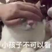 奥迪A8 局长座驾是A6L，请问，我可不可以借各位老板的A8车车停他隔壁来装逼