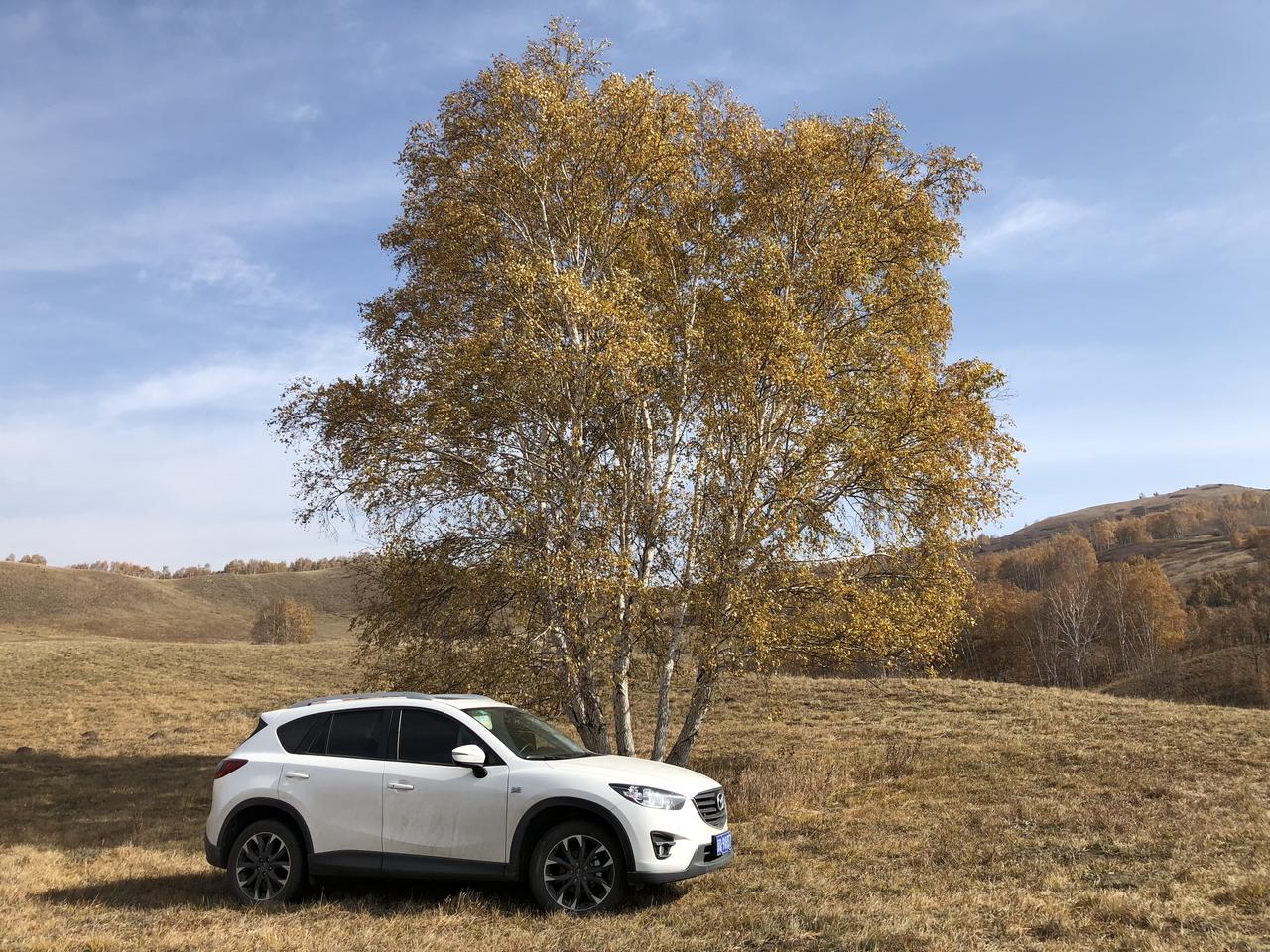 马自达CX-5 请问各位车友，燃油宝哪个好？2.5的车7万多公里了什么添加剂都没用过，节气门也没洗过，最近感觉油耗有些增