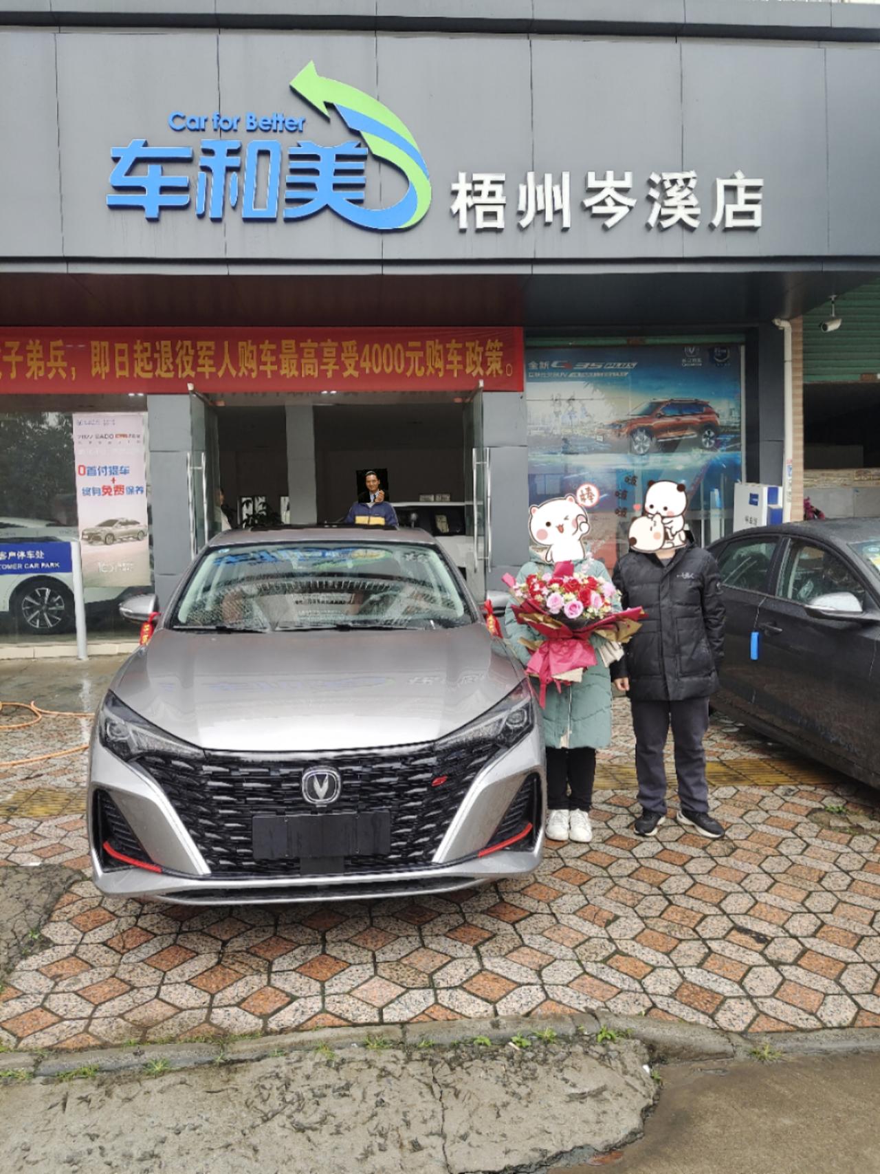 长安逸动 钛光银灰，前头这两条红色感觉太显眼太别扭了，自己网上买东西搞成图二这样难搞不？然后又怕贴了黑之后没特色，这个黑