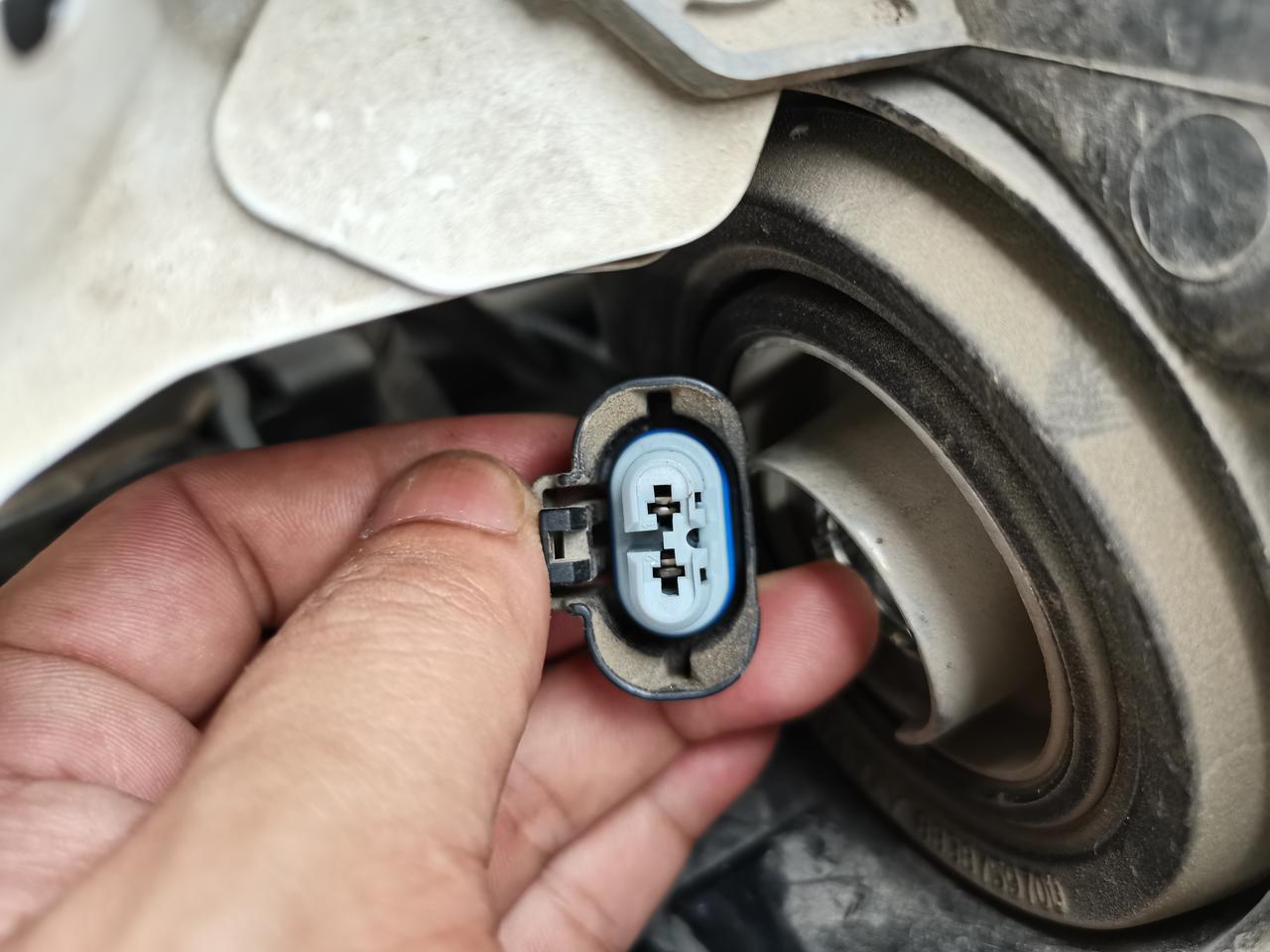 19款轩逸尊享版远光是卤素的 有个灯不亮了想网购同样接口的led换了但是不知道这个是什么型号的接口有大佬能告诉一下吗？谢