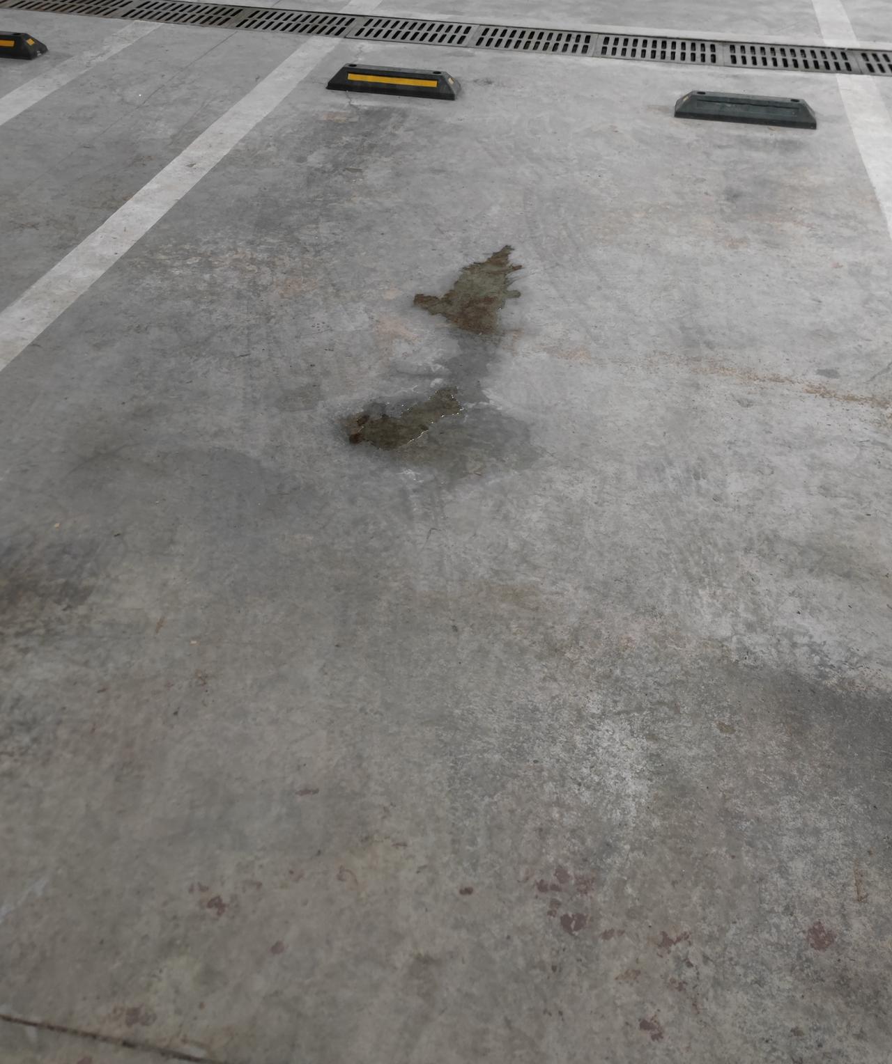 15款君威，最近停车取车发现地上都是一摊液体，大概前轮中间往后一点的位置。。什么问题，不会是漏油吧。。用纸沾了一点闻不出