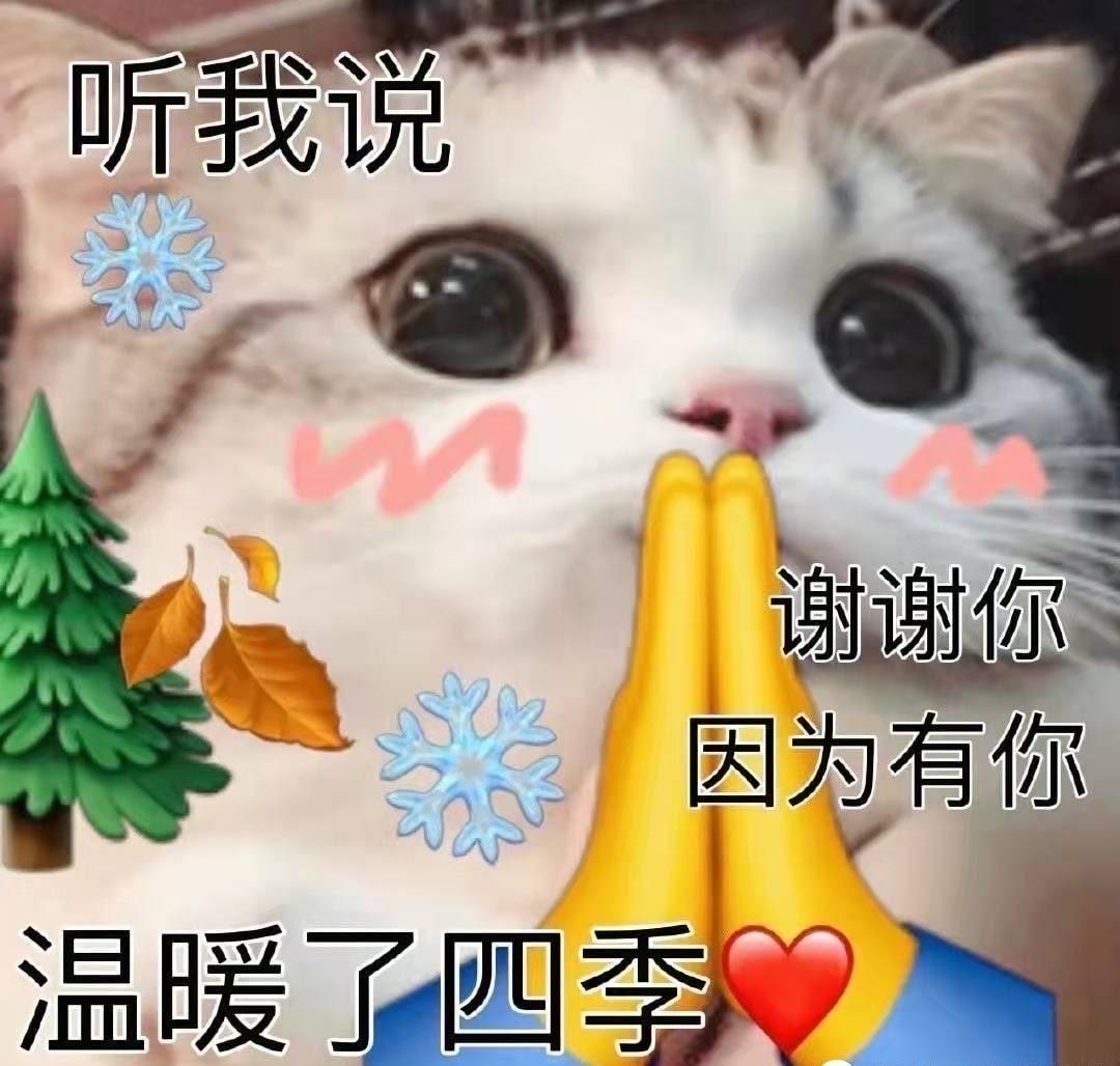 请问各位车友，坐标山东济宁，1.5T君威22款落地价格16.5这个价格怎么样呢？