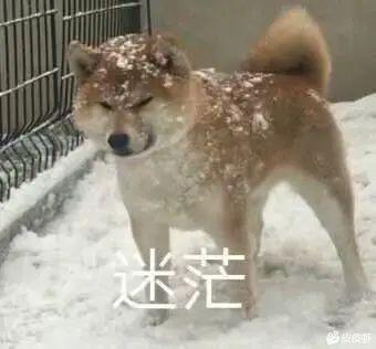 尊贵的君威车主们，订车要叫4s店送些什么好呢！