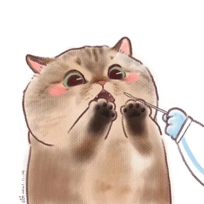 卡罗拉第三年保险大家交多少钱？