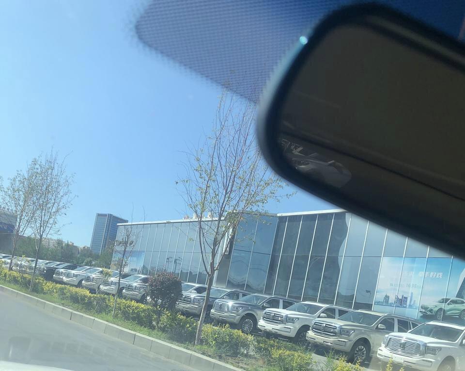坦克500 这些都是什么车啊，不认识，只知道是到处没现车、得等好久的车