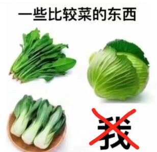 吉利帝豪L 雷神Hi·P 先蹲个坑，等懂车帝实测只对油车略懂，心里还是比较倾向于雷神的