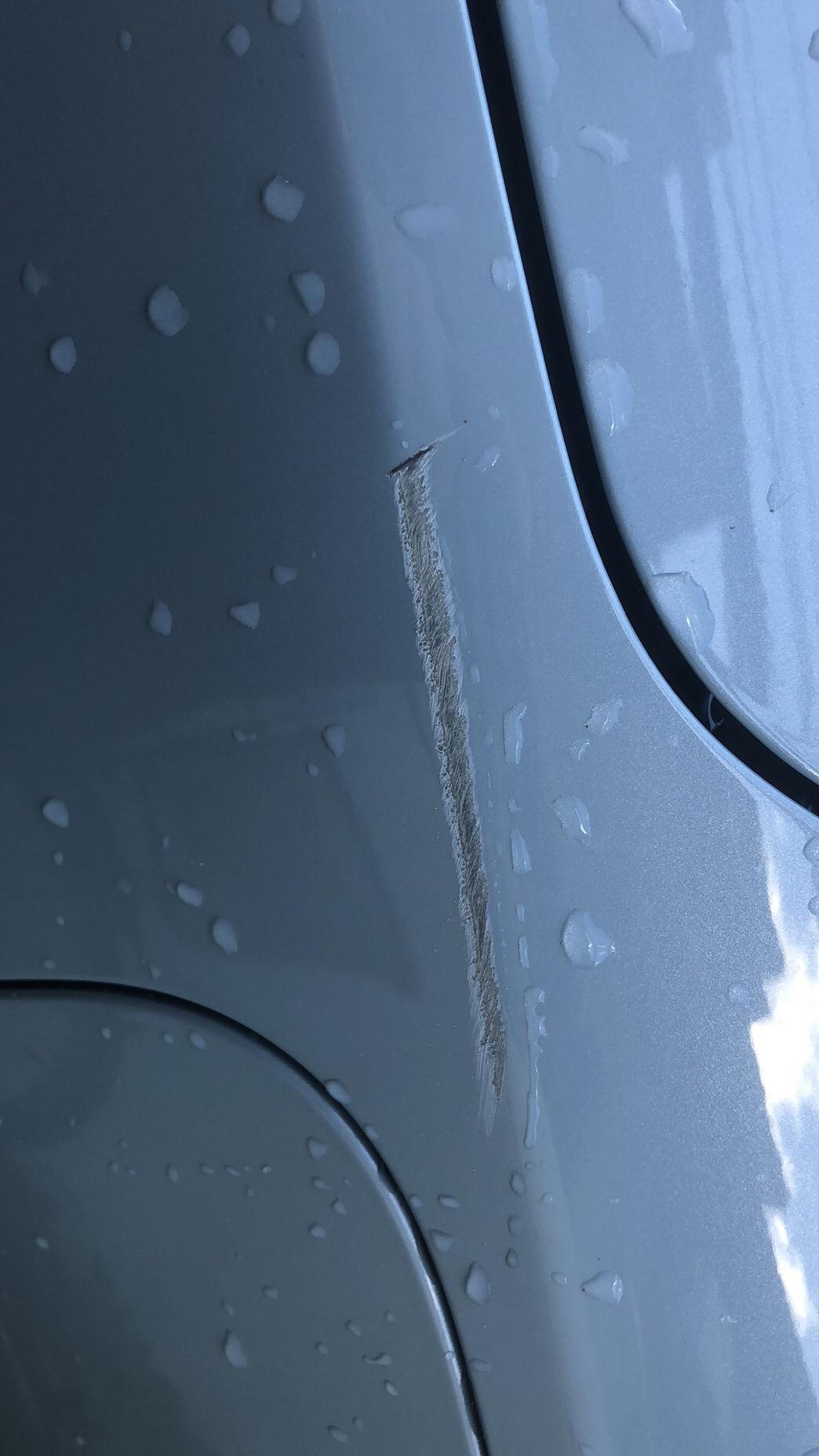 吉利帝豪L 雷神Hi·P 各位大哥大姐有在某宝买过极光白的补漆笔吗？我的车停在小区被人恶意划伤，直接漏底了，而且刚好是监
