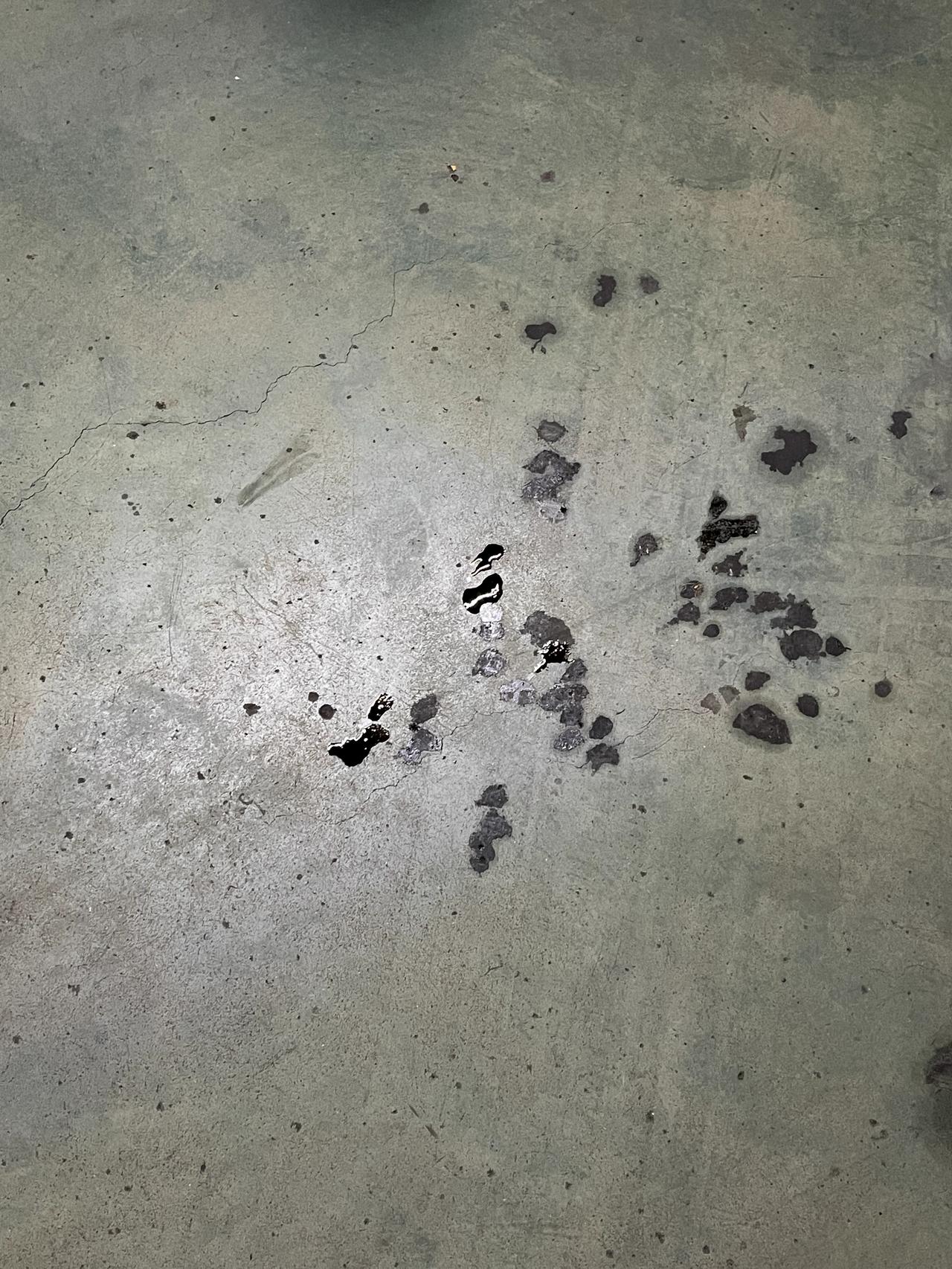 宝马5系 这种是什么情况啊 是密封圈的问题还是油底盒破损啊