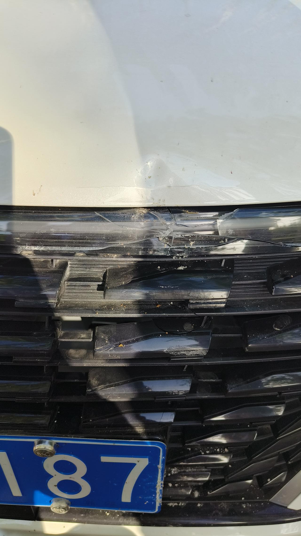 长安逸动 今天停车的时候不小心撞树了了，引擎盖凹下去了一点，维修大概需要多少钱