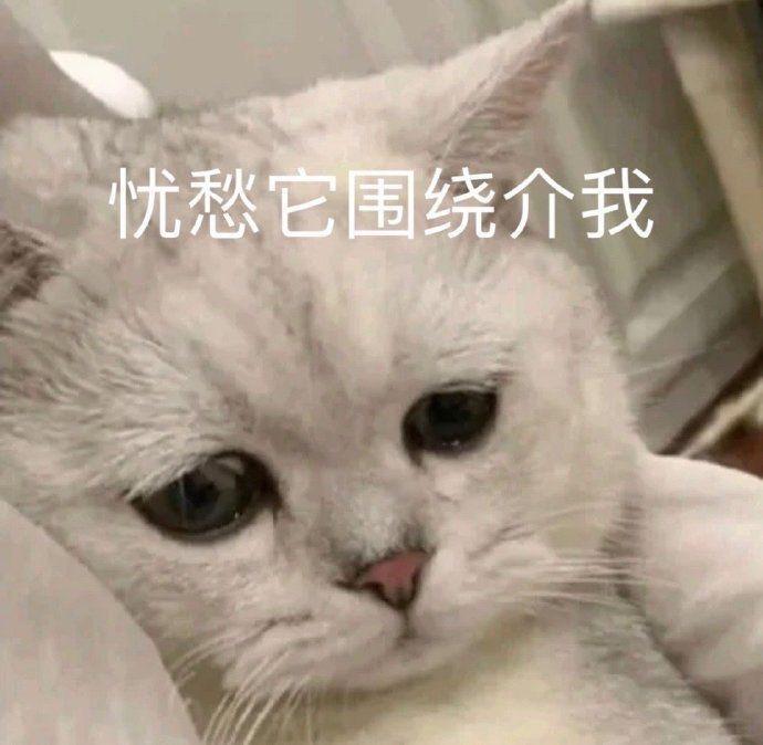领克03 有个时候经济模式猛踩油门加速过快会出现警报，然后仪表盘亮红灯，偶尔会出现自己刹一下车，什么情况，有大佬知道嘛