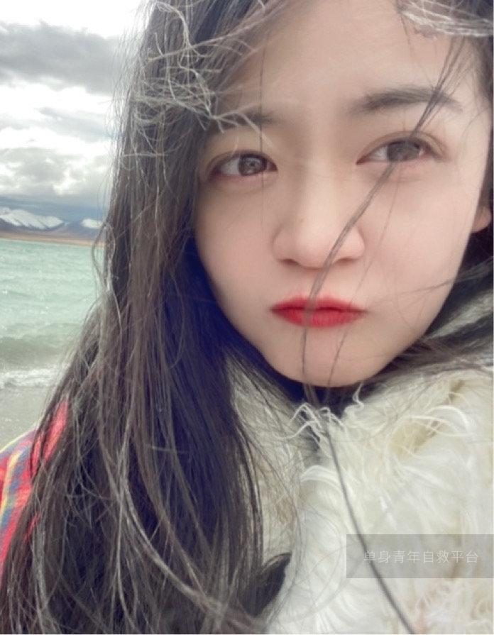 比亚迪秦PLUS DM-i 亲们，秦plus dmi属于发动机发电驱动汽车，还是动能回收充电，然后发动机熄火再电驱动？求