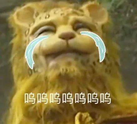 哈弗大狗 各位的狗狗晚上有没有觉得灯不够亮，你们都怎么搞的啊？