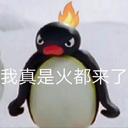 哈弗大狗 各位的狗狗晚上有没有觉得灯不够亮，你们都怎么搞的啊？