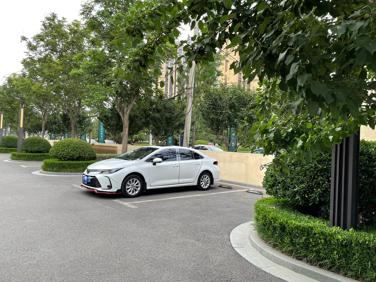 我的卡罗拉百公里油耗提车到现在加了625元左右油钱，行驶了1631公里。那么我百公里 实际油耗 是多少呢？
