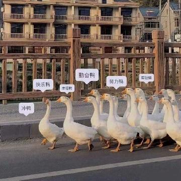比亚迪秦PLUS DM-i 问一下各位好人，想买秦plus  DM-i，坐标郑州，那个4S店好一点。这俩天看了不少分享，