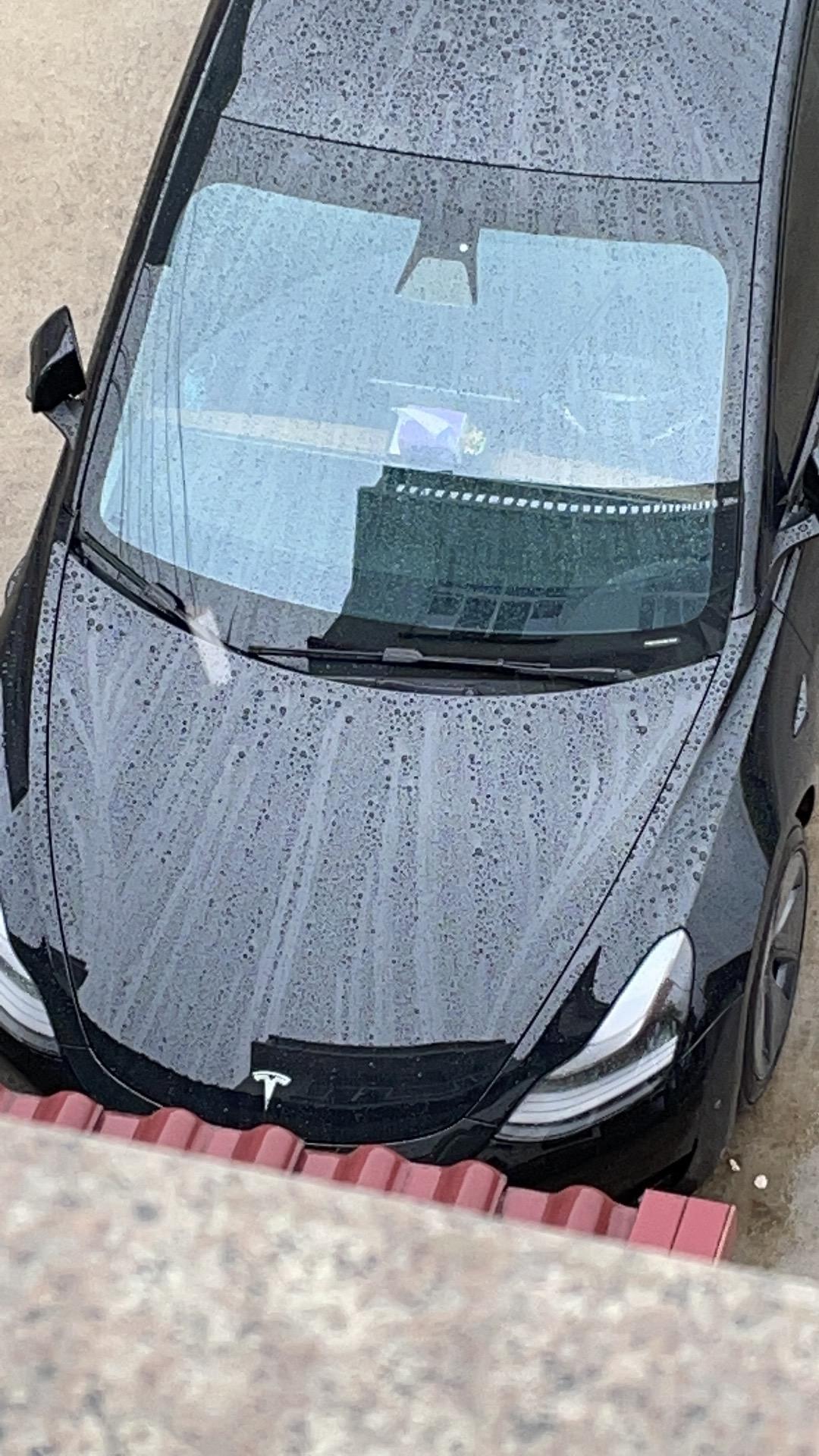 特斯拉Model 3 21款标续毛豆3，21年21/9提的车当时满电423左右吧，现在10000公里不到点，现在充满只能