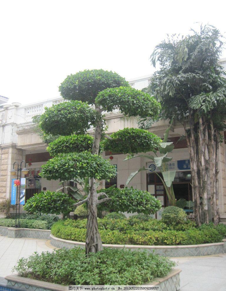 比亚迪秦PLUS DM-i 不是比亚迪秦dmi55没有快充吗，家用不确定有没有接地，我楼下有树?有个花池，我能不能把地线