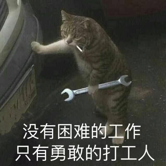 兄弟们，你们提君威gs精英版落地多少钱啊上午刚去去4儿子店问了，落地要201860      坐标苏州