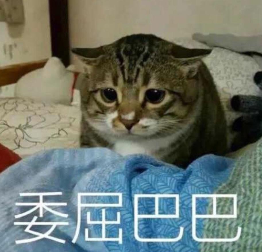 哈弗大狗 想定哮天犬，想知道哮天犬顶配22款都啥价格拿下的，，到底啥颜色的比较好看，目前感觉橙色 灰色 黑色 这三个好纠
