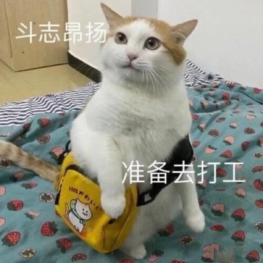 长安UNI-T 尊贵12.58落地 如何？？各位大佬
