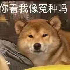 名爵5 有没有兄弟遇到过音响只有一侧出声音的情况啊？今早起来一开车发现只有副驾那面的音响出声音，并且转向灯的滴答声也不见