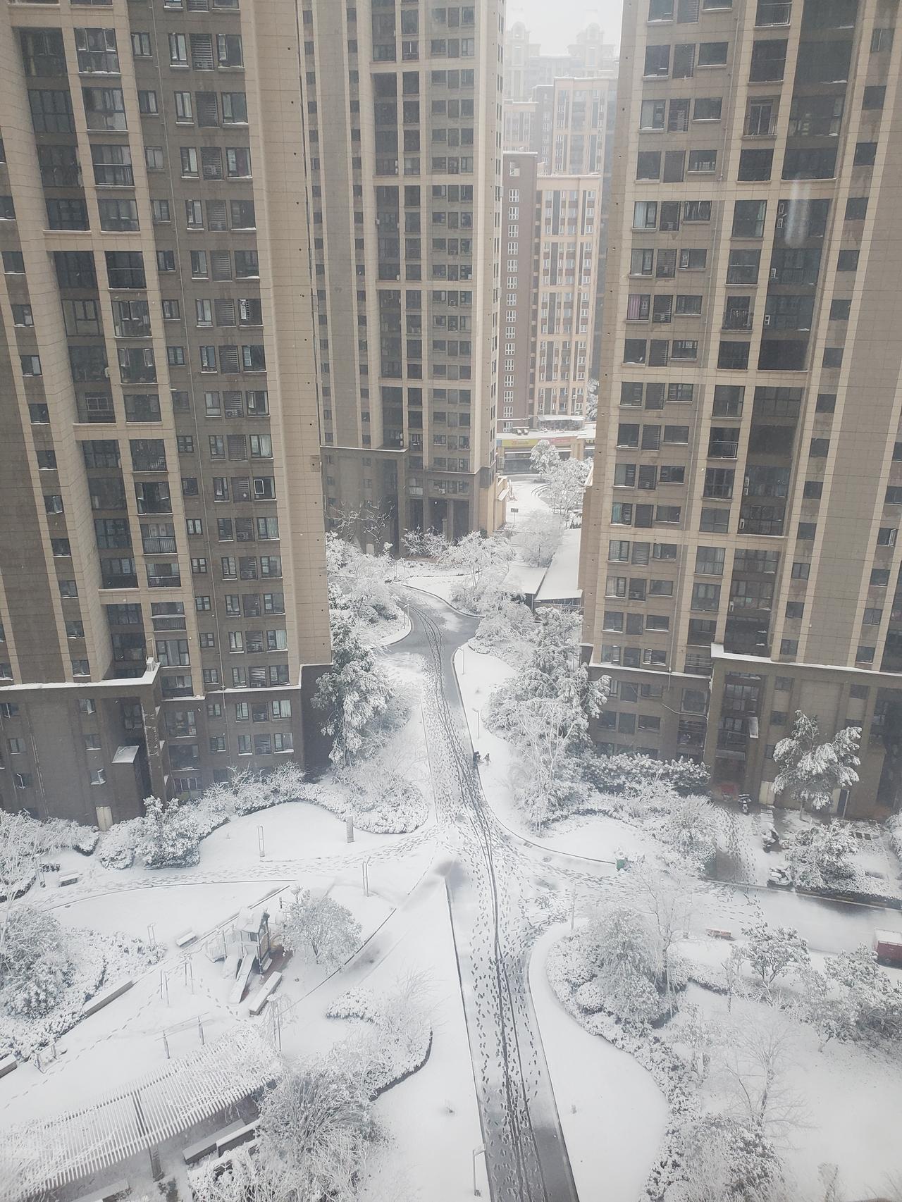 哈弗神兽 今天武汉大雪，突然想起一件事情。哈佛神兽如何将雨刷立起来呢？翻了说明书，并无介绍
