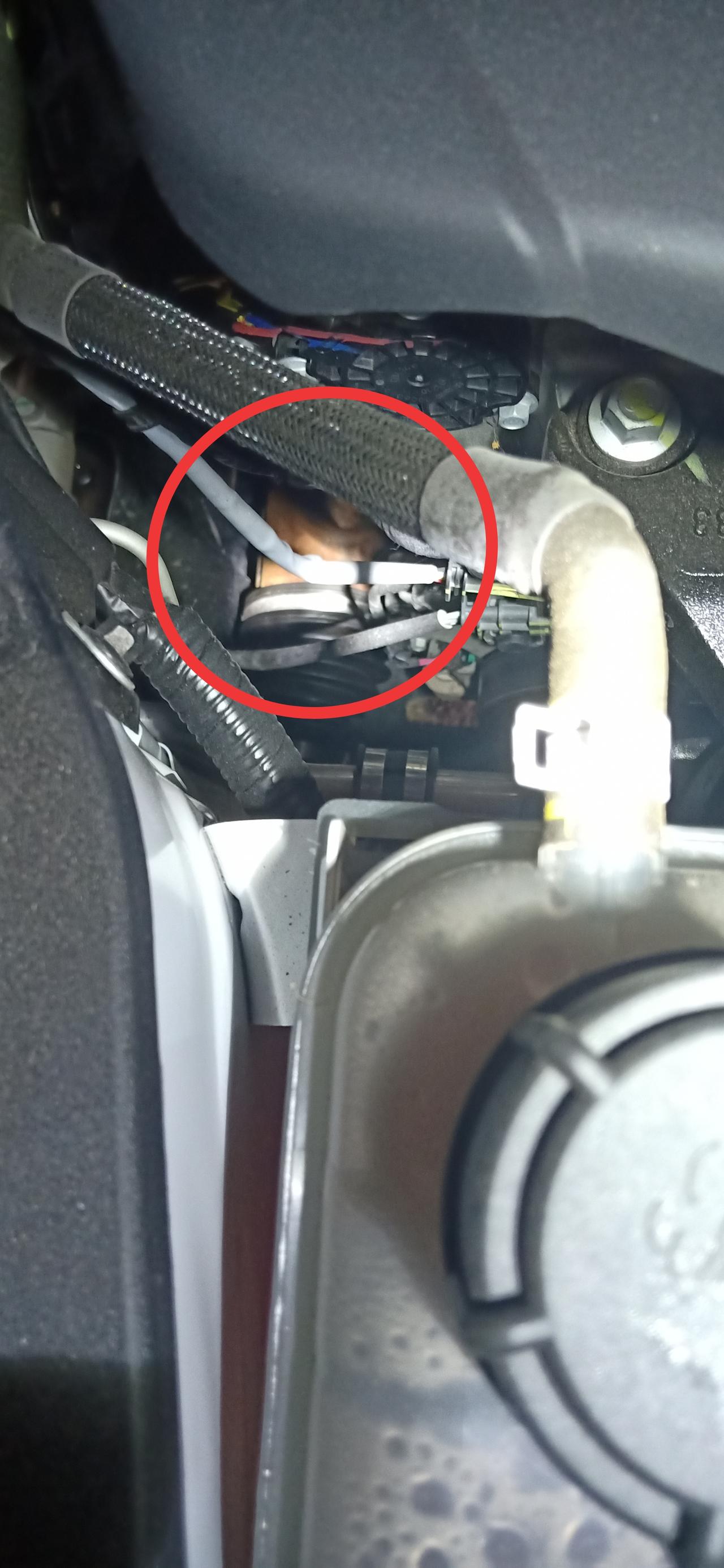 长安CS35 PLUS 一个月了  发现这里生锈  有谁这样的吗？(发动机右边油壶下面)