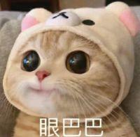 领克03 路过的车主们，1.5t  pro首付30%全部下来16万能搞定不，全部东西都算进去，