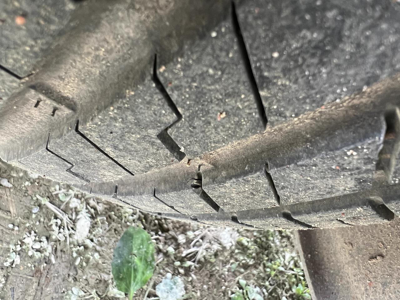 哈弗H6 过年老家的路比较破，轮胎成这样了，有没有什么建议？新车才开了4000公里