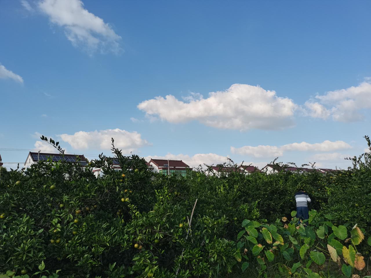 哈弗H6 新手准备买个车预算13万落地，看得是哈佛H6，不知道这个车怎样，能不能买，什么都不懂，想让各位大哥给点意见，或