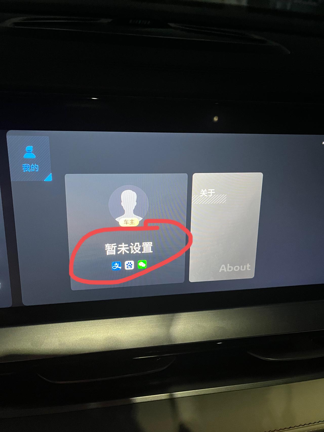 吉利星越L 兄弟们，提个比较邪门的问题，这玩意到底怎么设置，到现在还没有头像，已经一年了也没研究明白，所有账号已经关联。
