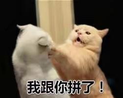 比亚迪汉DM 看了一下沃尔沃的s60插混，贵了十多万。但是并没有什么特别比汉好的地方，气囊也没有汉的多。纯电里程才五十多