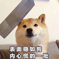比亚迪秦PLUS DM-i 深圳都是多久提车呀？等了70天了