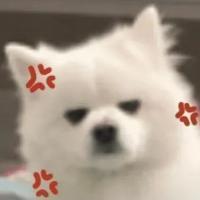 麻烦大家解答一下，请问下你们买逸动送车膜，去贴膜是自己出工费的吗？我们销售说只送膜，让我自己拿着膜去店里出工费贴膜。
