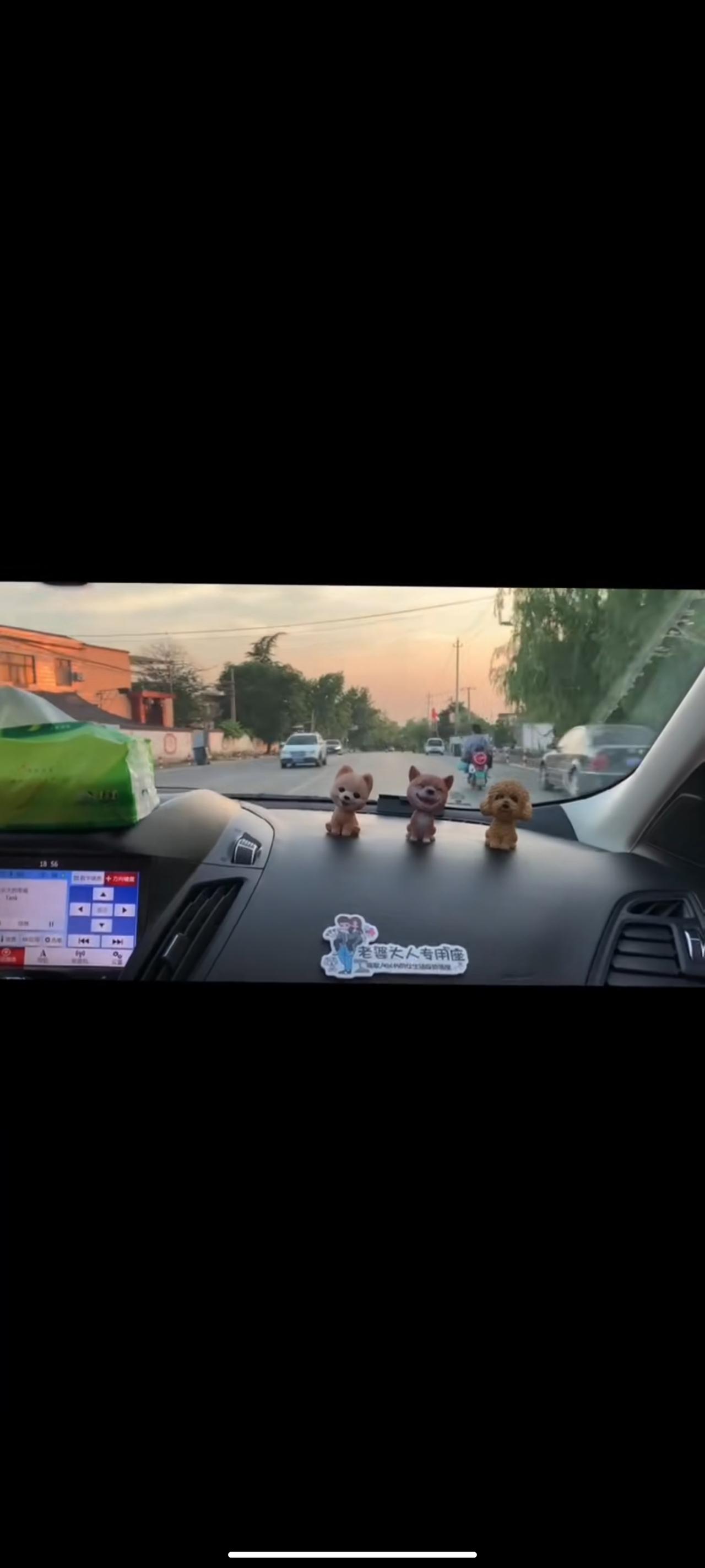 坦克300 这个是啥车啊???