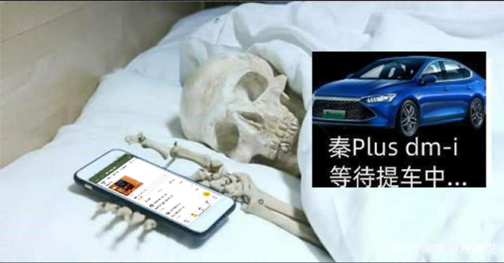 比亚迪秦PLUS DM-i 等车46天  广东肇庆有没有提车的？
