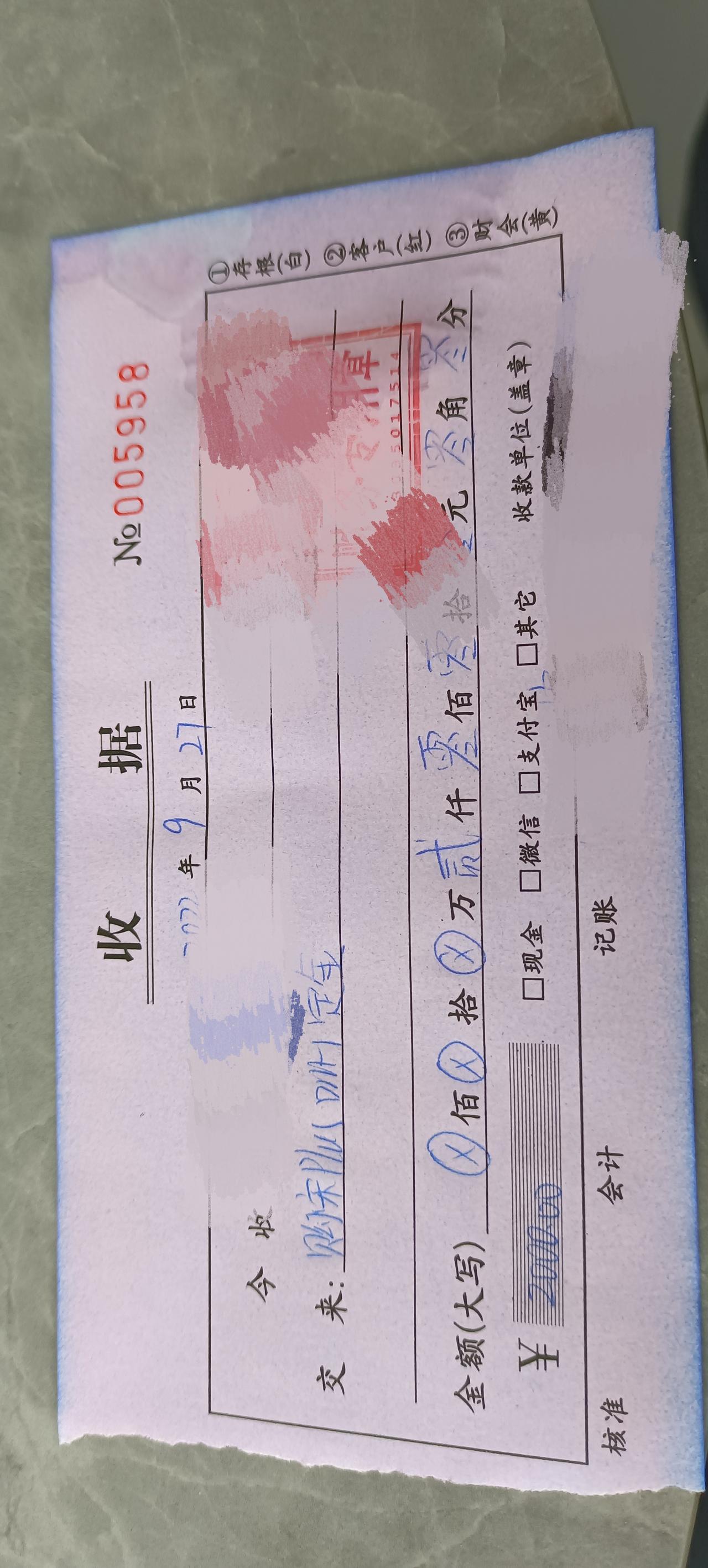 长安深蓝SL03 想问问各位车主，深蓝自驾舒服不？我订了宋plus，是综合各种下单的，但我年轻，喜欢偏运动的深蓝，但是以