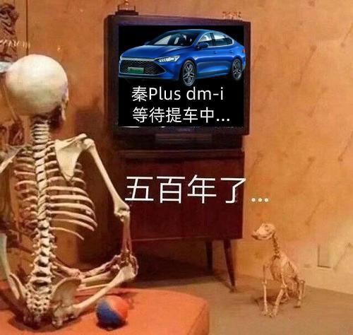 比亚迪秦PLUS DM-i 请问有知道珠海第一批秦plus最快几号能到呢？
