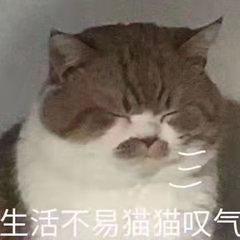 比亚迪秦PLUS DM-i 明天提车了有什么要注意的提醒一下   感激不尽