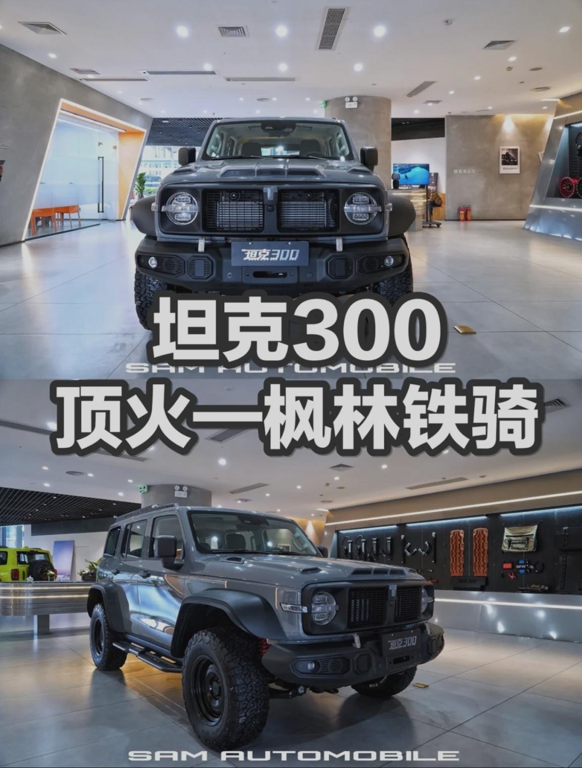 坦克300 后面有没有类似枫林铁骑版本发布，订车也是在app么