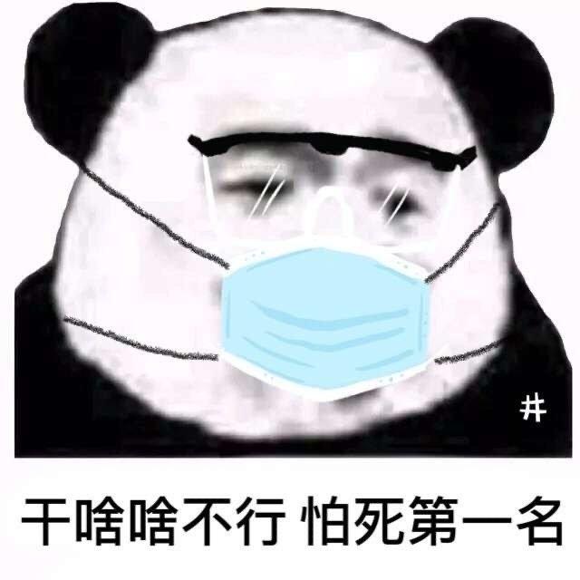 比亚迪秦PLUS DM-i 纠结秦dmi和宋dmi，今天去了4s店销售说宋dmi性价比没有秦的高，推荐给我秦，结果今天交