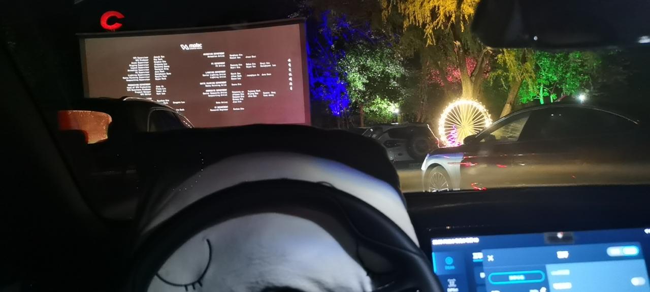 请问海豹车主，手机蓝牙不能把声音传到音响上面