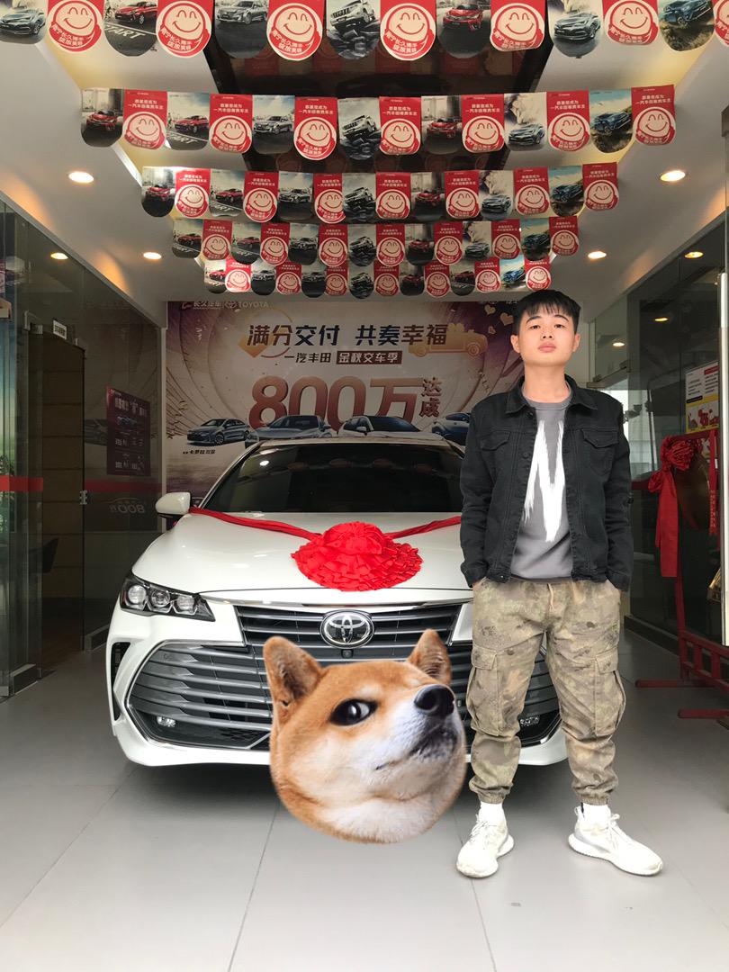 丰田亚洲龙 各位车友可以拉我进群吗 2.0尊享